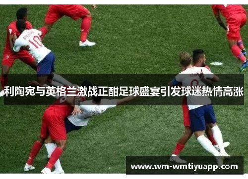 利陶宛与英格兰激战正酣足球盛宴引发球迷热情高涨